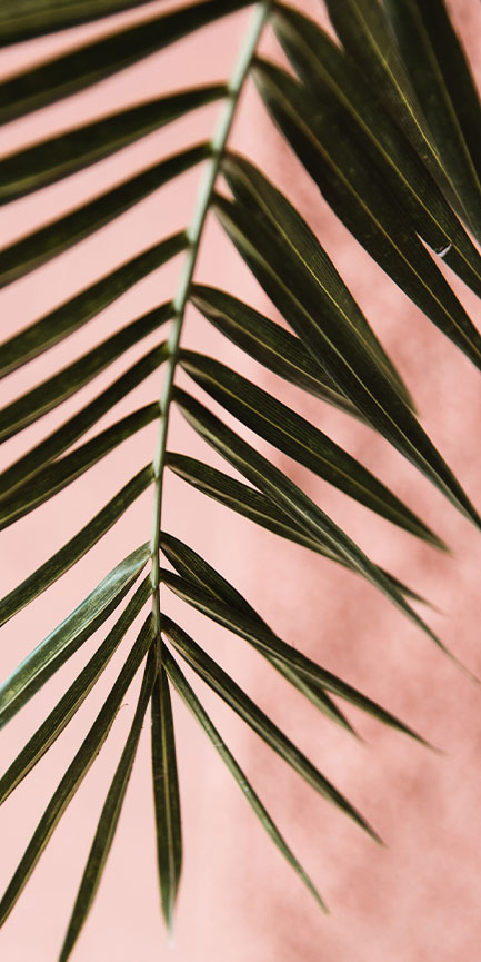 Right Parallax Background Element